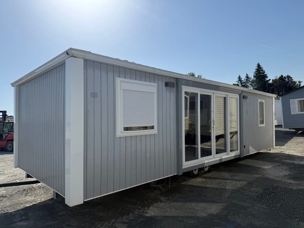T 29 – année 2019